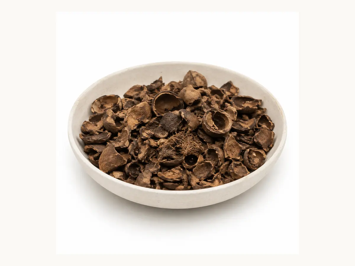 Cashew Husk / Cashew Shell