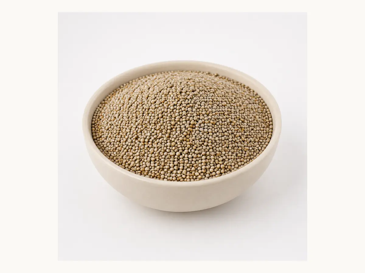 Pearl Millet / Bajra